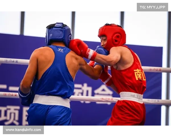 业余拳击参与人数逐年上升，国内赛事体系日趋完善