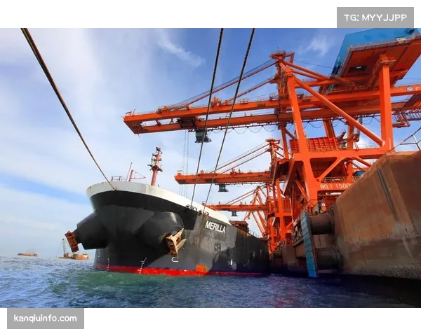 深度分析：三月德甲战术趋势，三中卫体系使用率显著上升